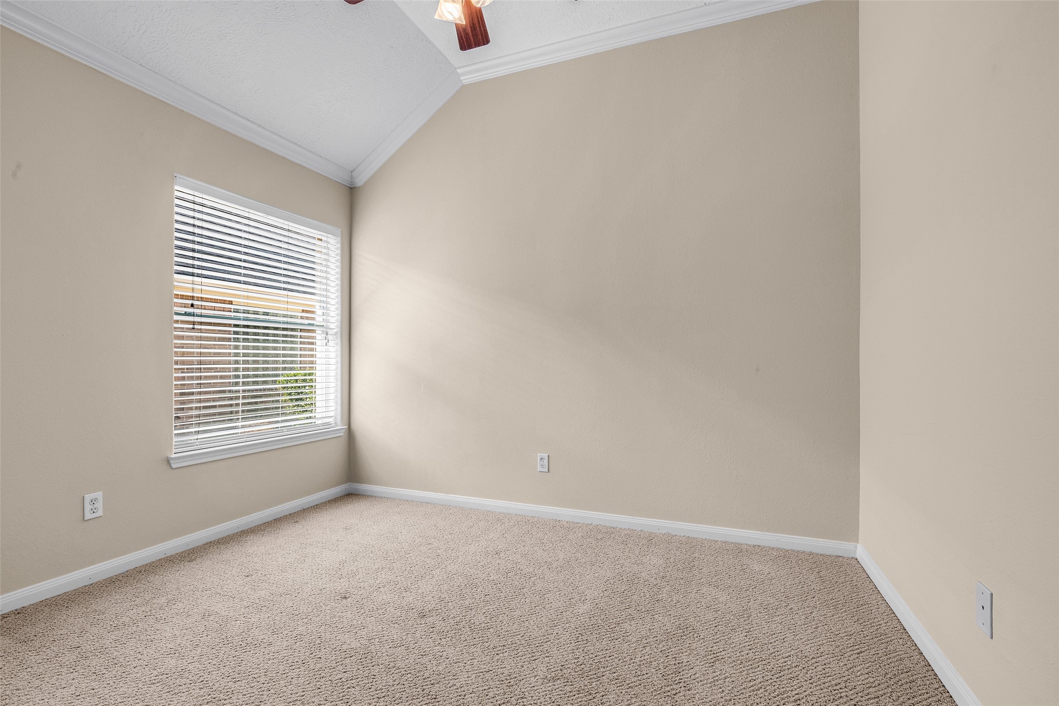 1131 Sienna Hill Drive Property Photo 10