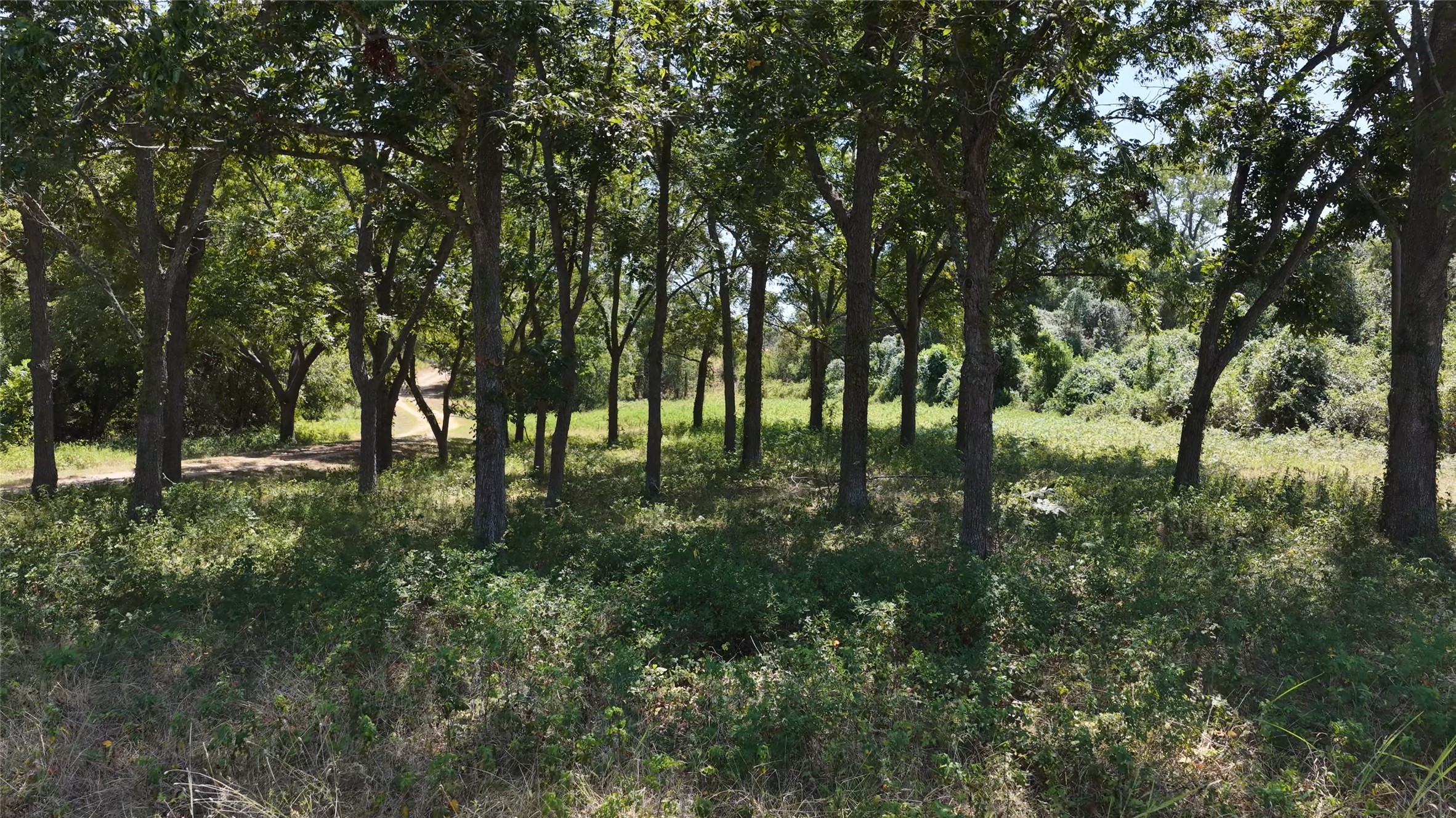 5420 Frances Road Property Photo 12