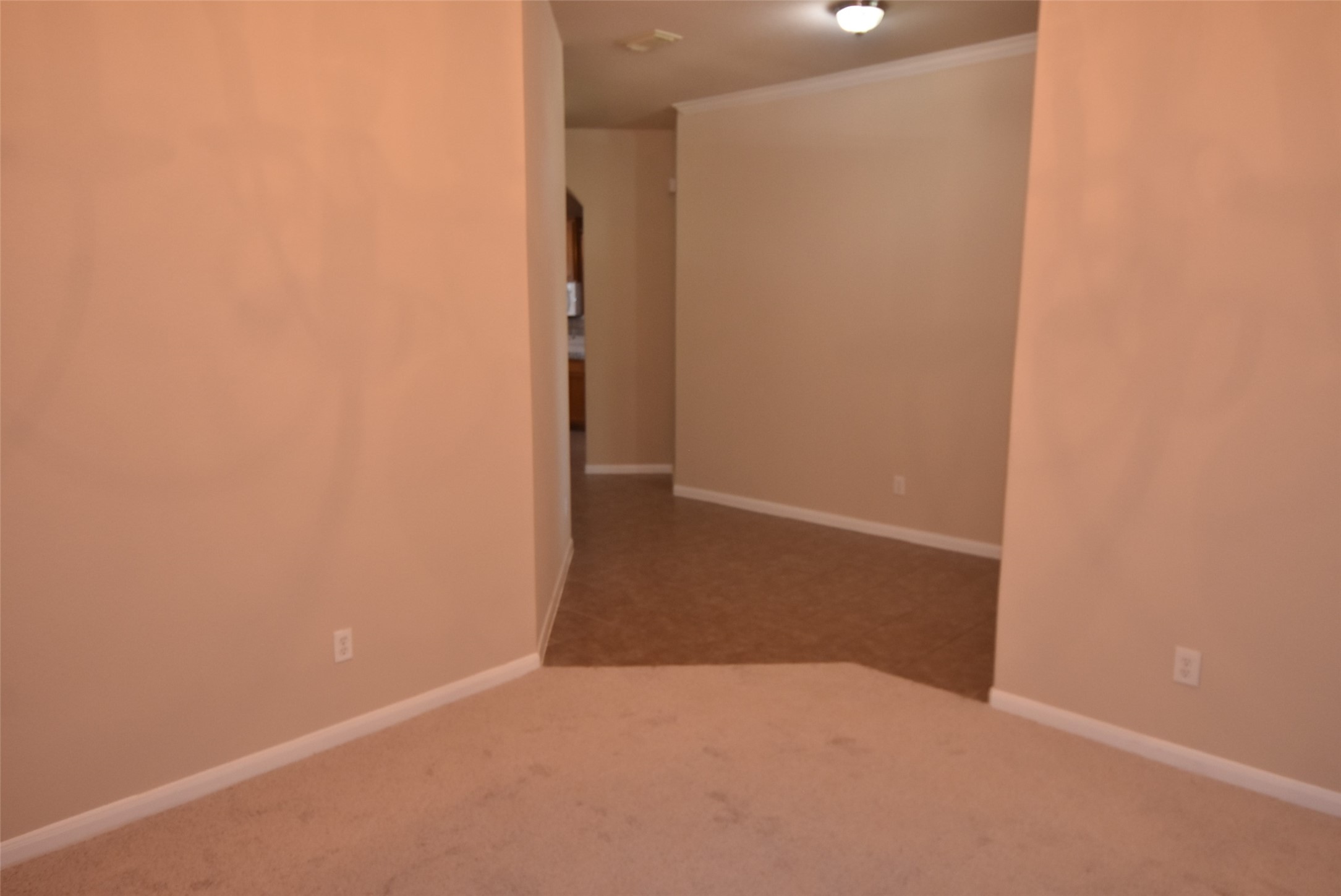 25823 Sundrop Meadows Lane Property Photo 3