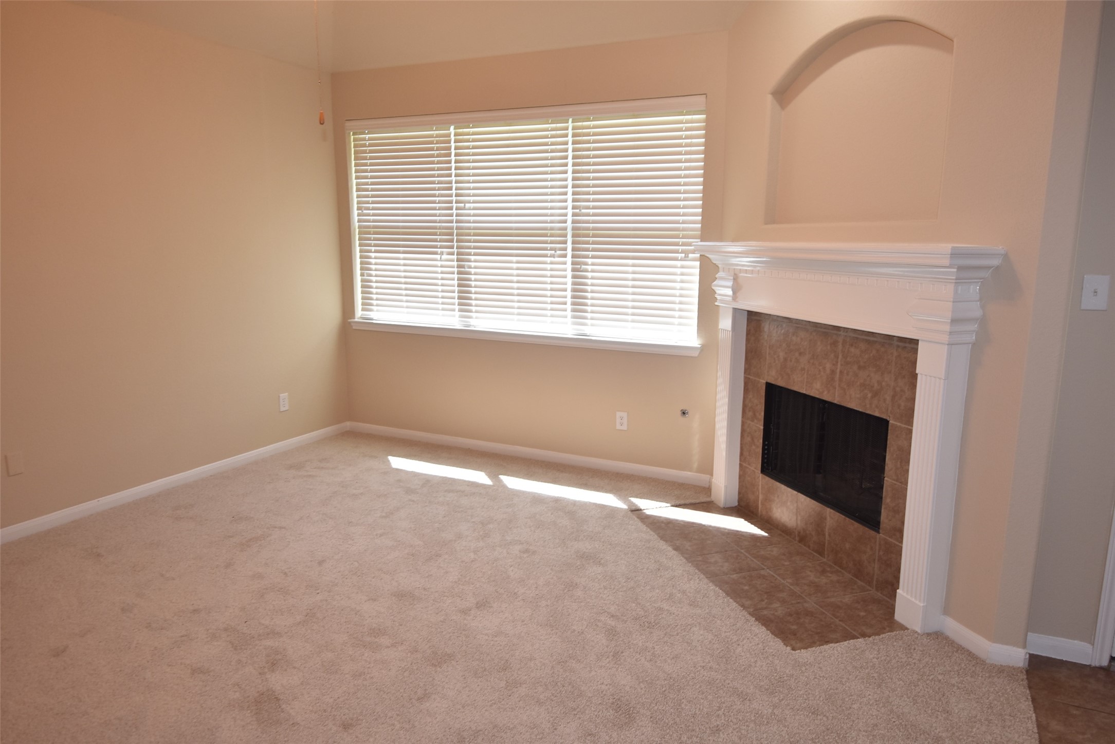 25823 Sundrop Meadows Lane Property Photo 8