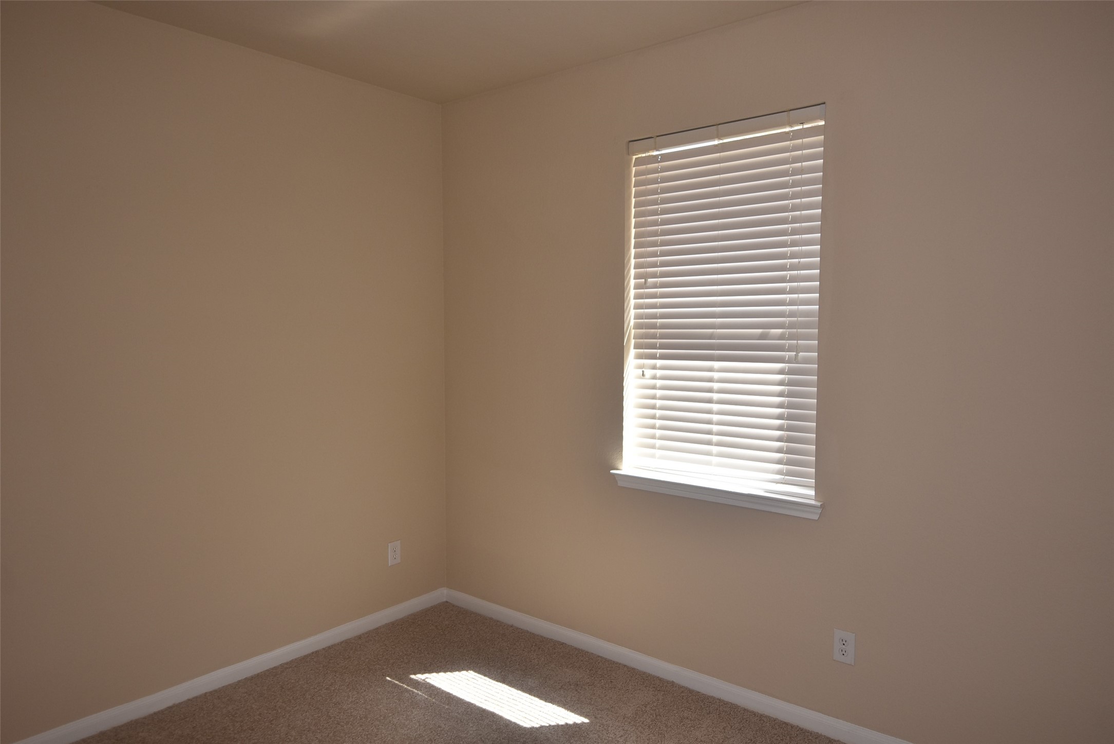 25823 Sundrop Meadows Lane Property Photo 19