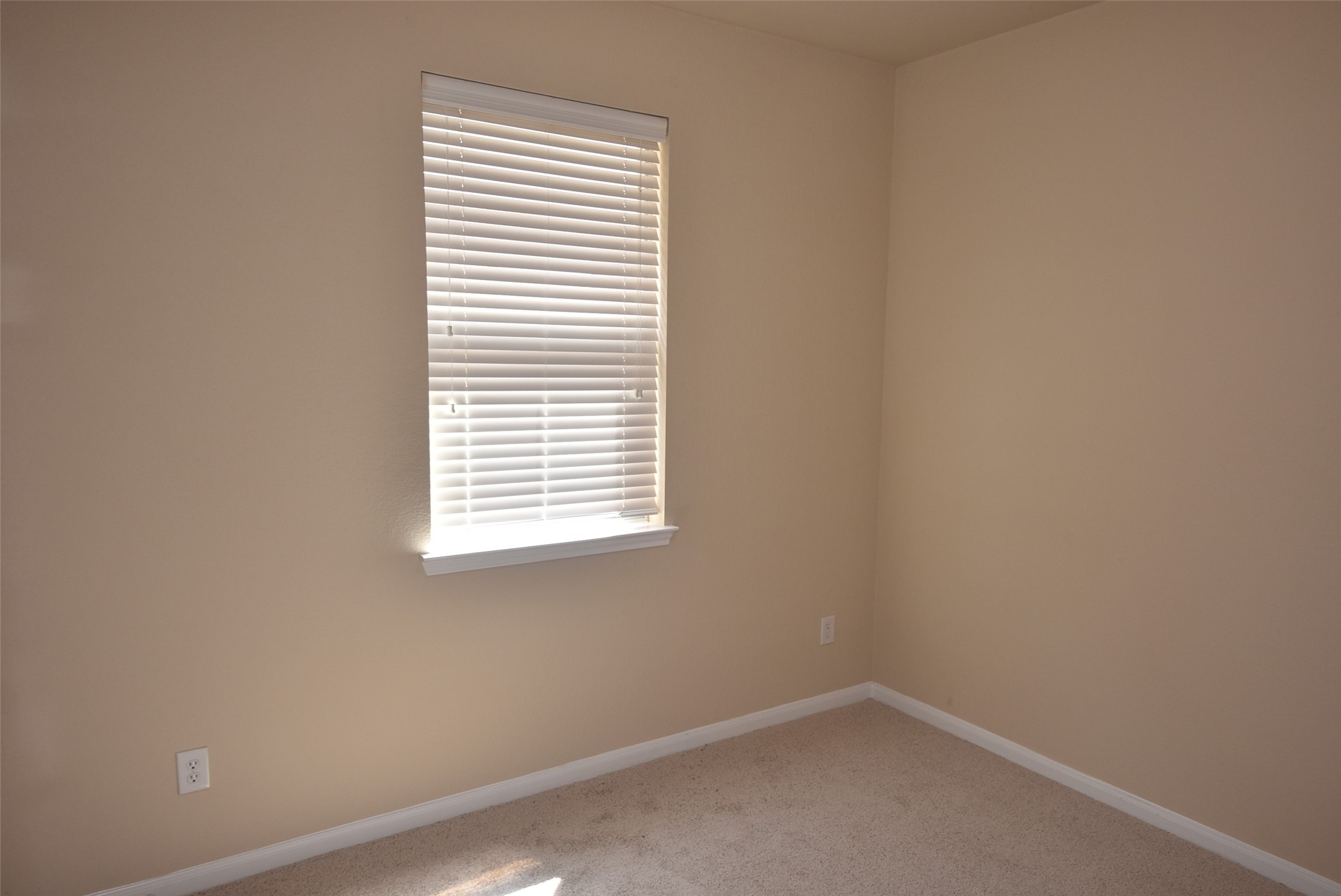25823 Sundrop Meadows Lane Property Photo 21