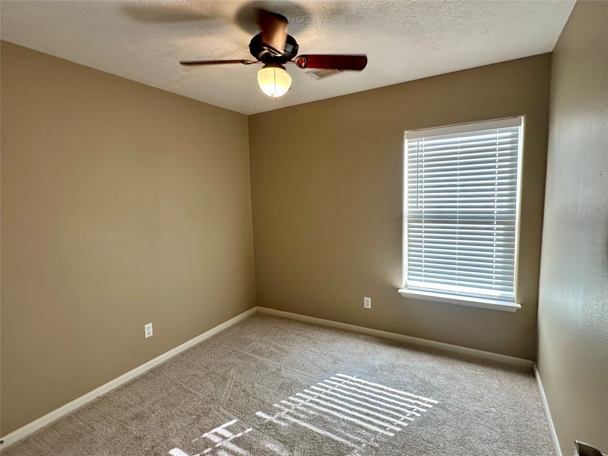 4906 Comal River Loop Property Photo 7