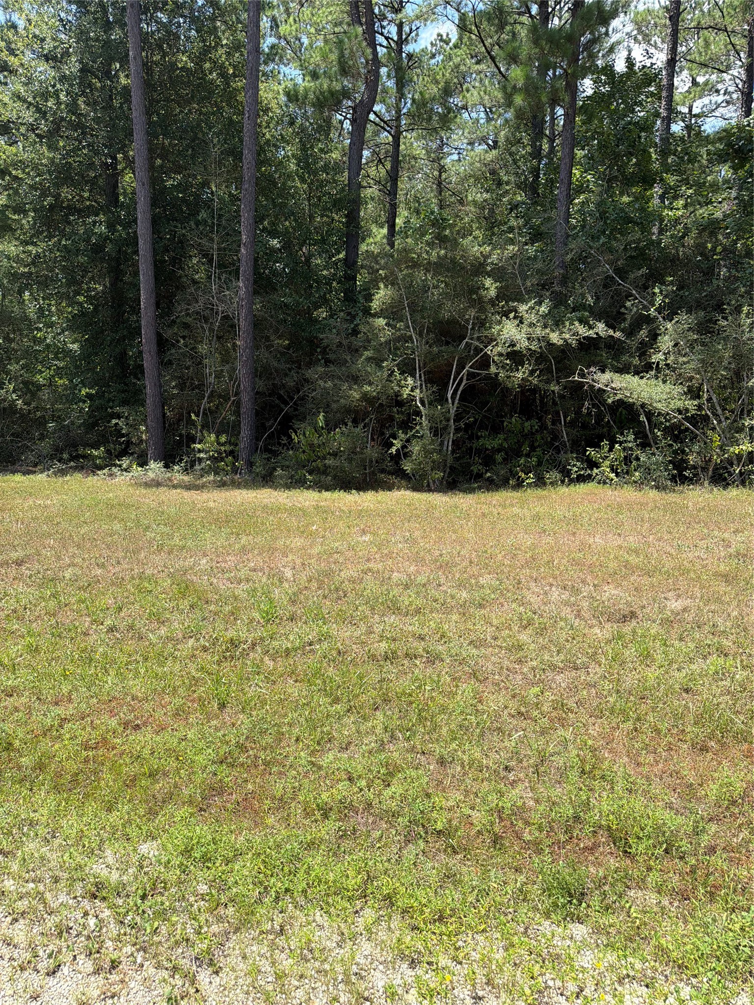 Lot 54 Grey Feather Road Property Photo 2