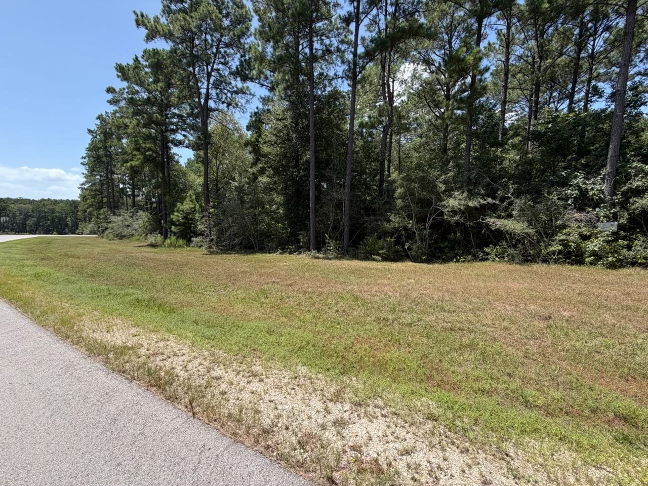 Lot 54 Grey Feather Road Property Photo 3
