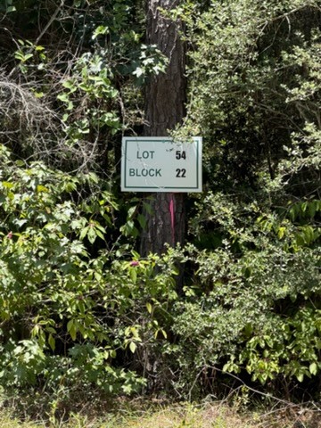 Lot 54 Grey Feather Road Property Photo 4