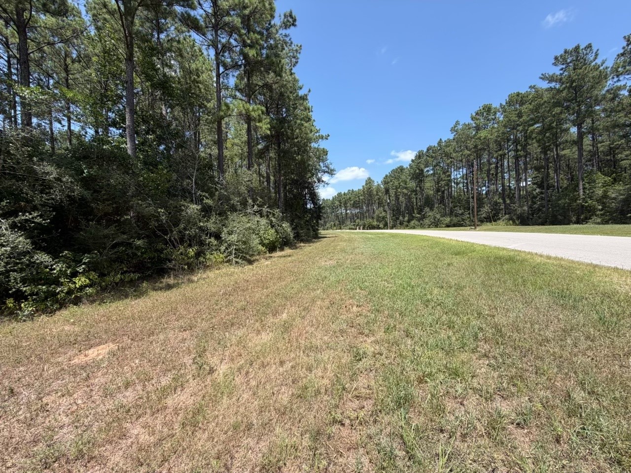 Lot 54 Grey Feather Road Property Photo 6