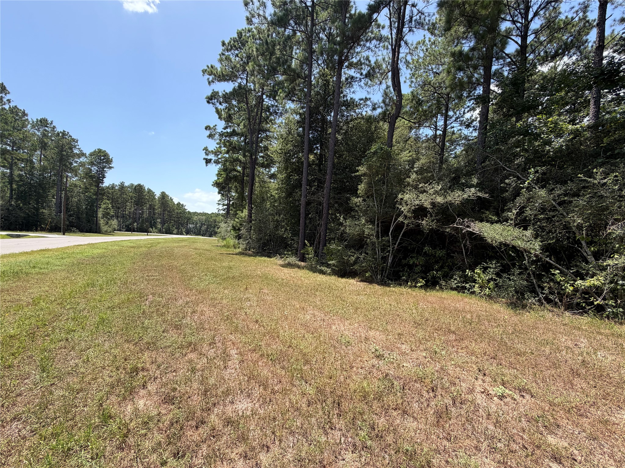 Lot 54 Grey Feather Road Property Photo 7
