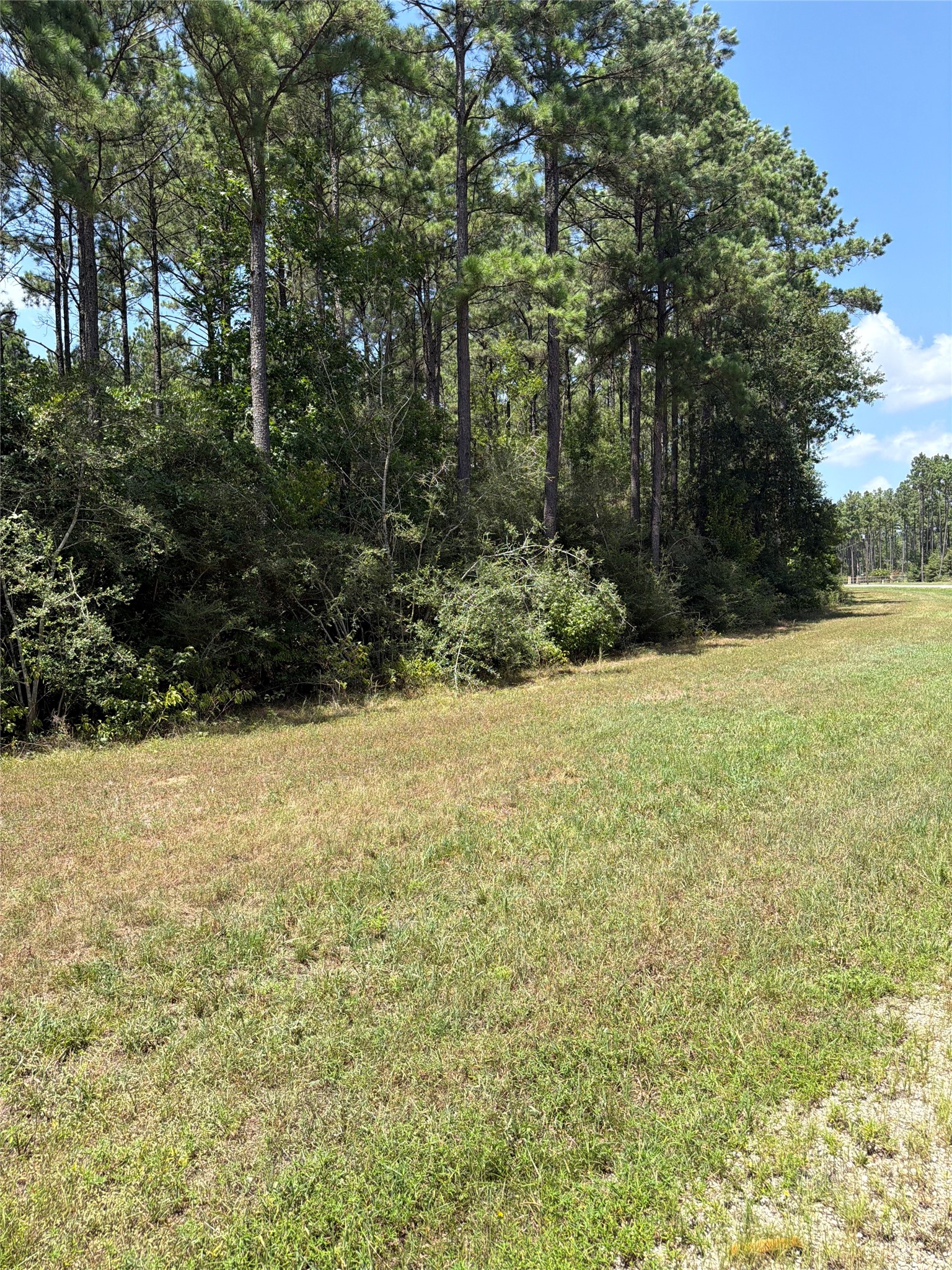 Lot 54 Grey Feather Road Property Photo 8