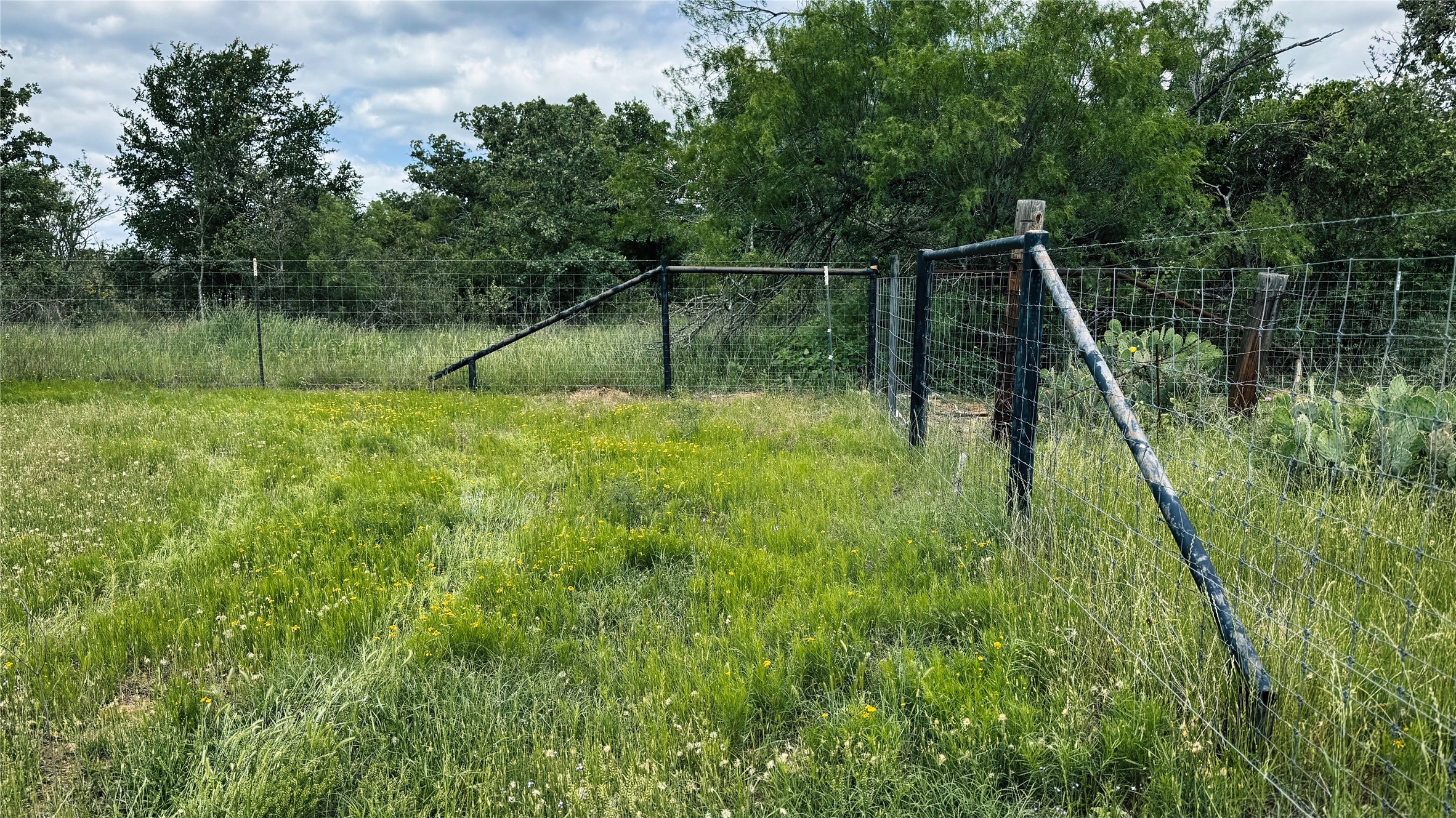 Tbd County Road 317 Property Photo 13