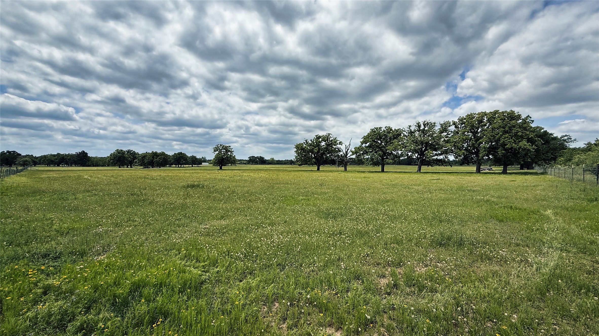 Tbd County Road 317 Property Photo 14
