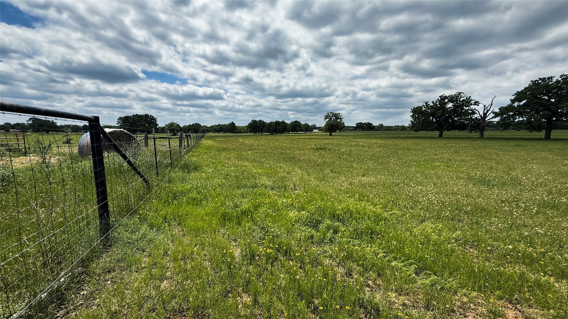 Tbd County Road 317 Property Photo 15