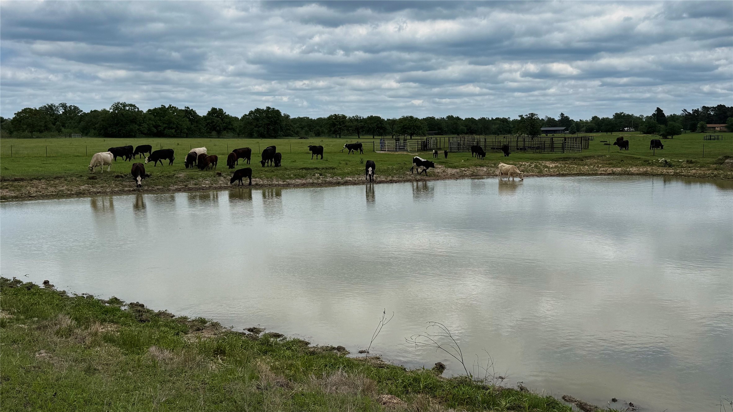 Tbd County Road 317 Property Photo 16