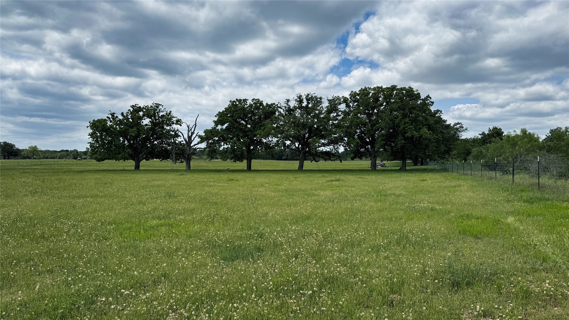 Tbd County Road 317 Property Photo 17