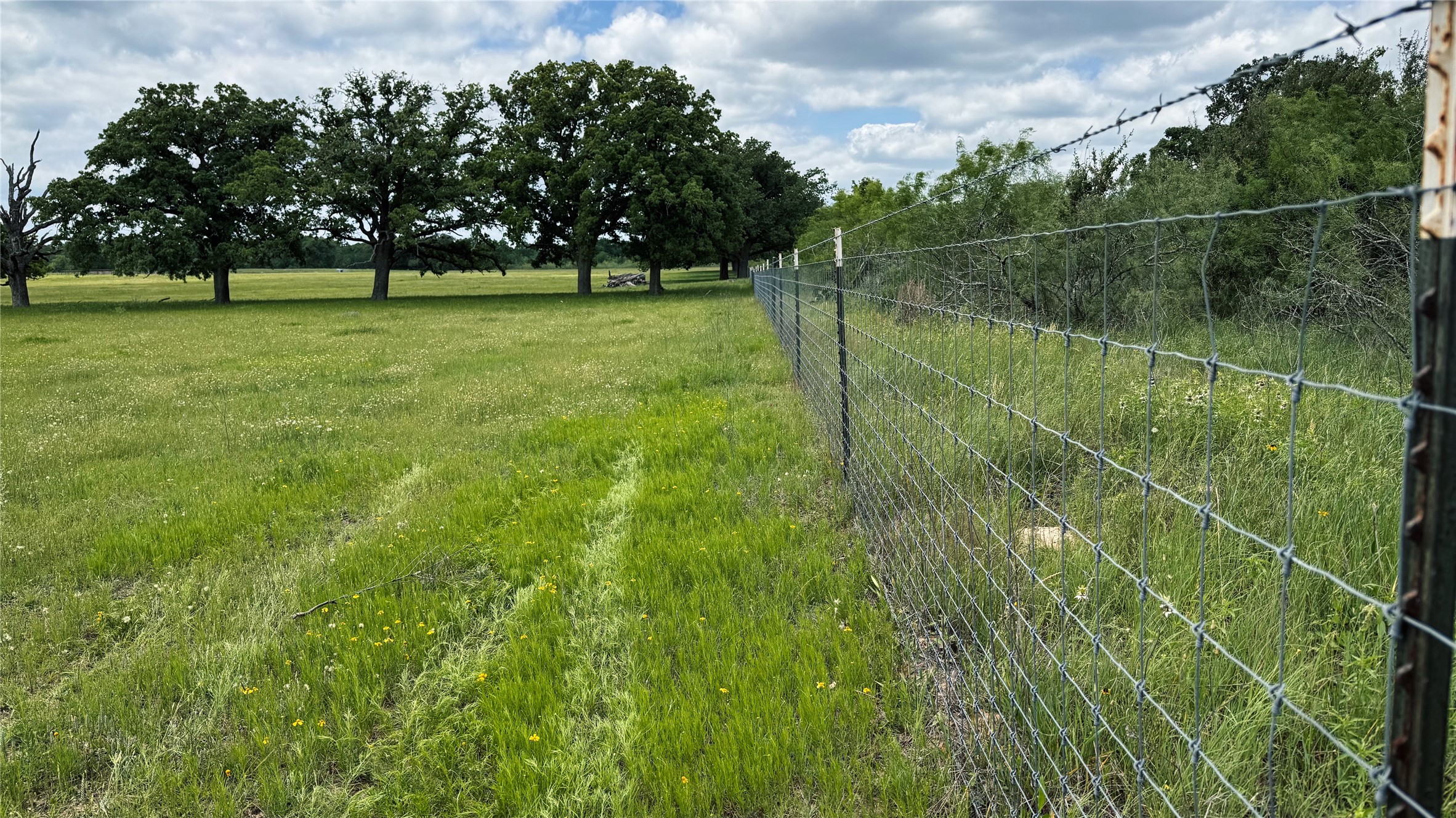 Tbd County Road 317 Property Photo 18