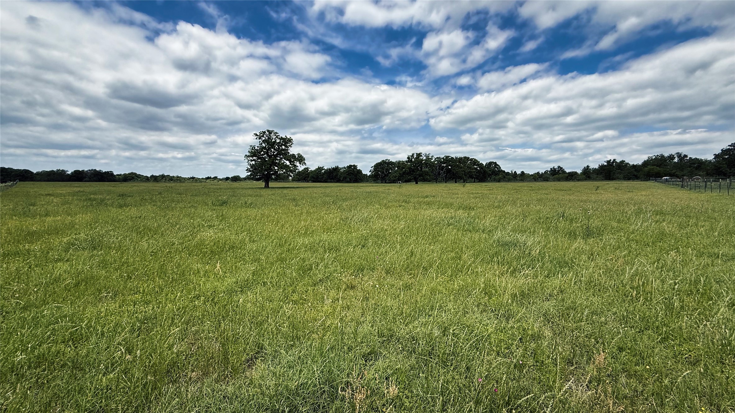 Tbd County Road 317 Property Photo 22