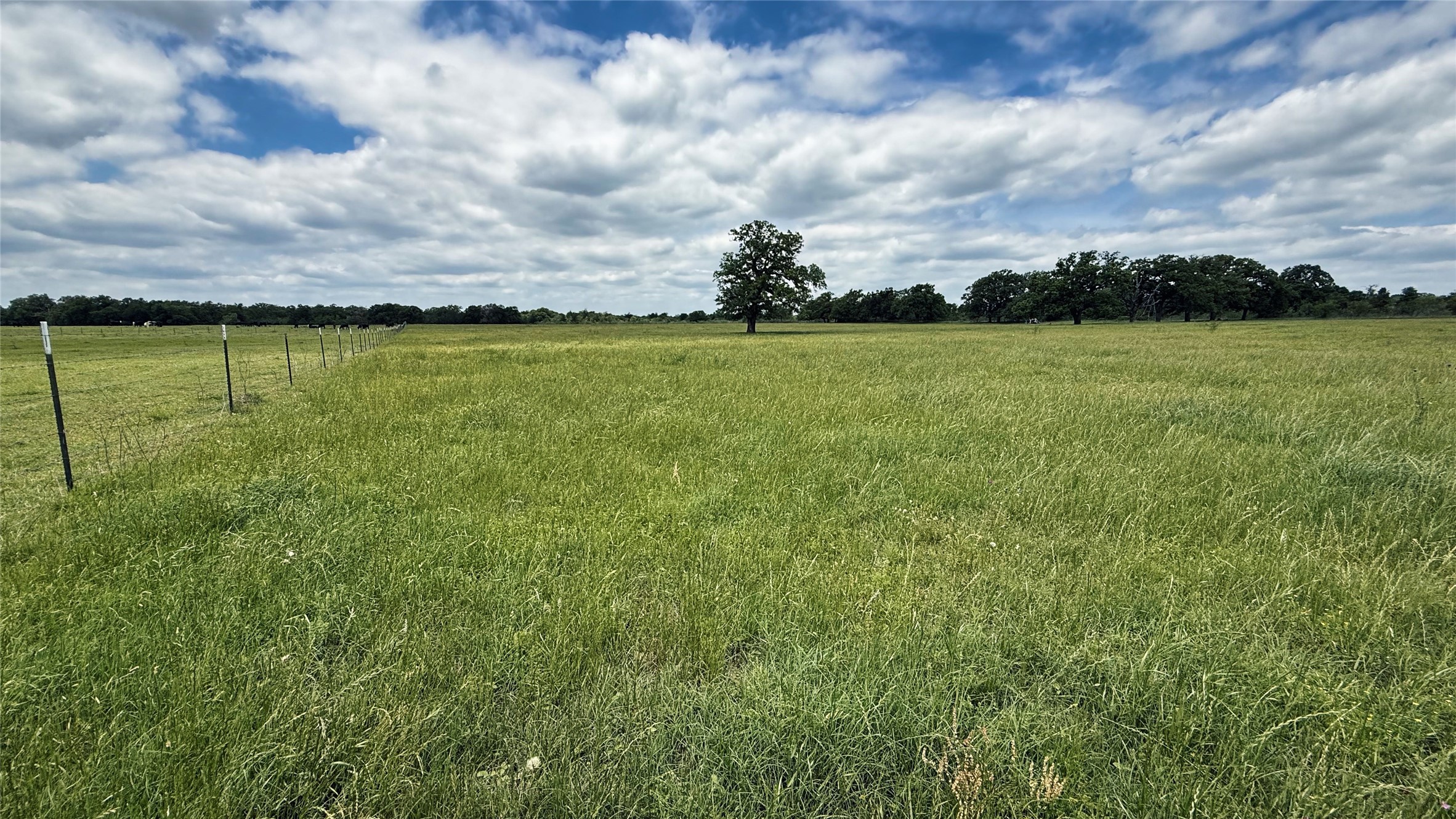 Tbd County Road 317 Property Photo 23