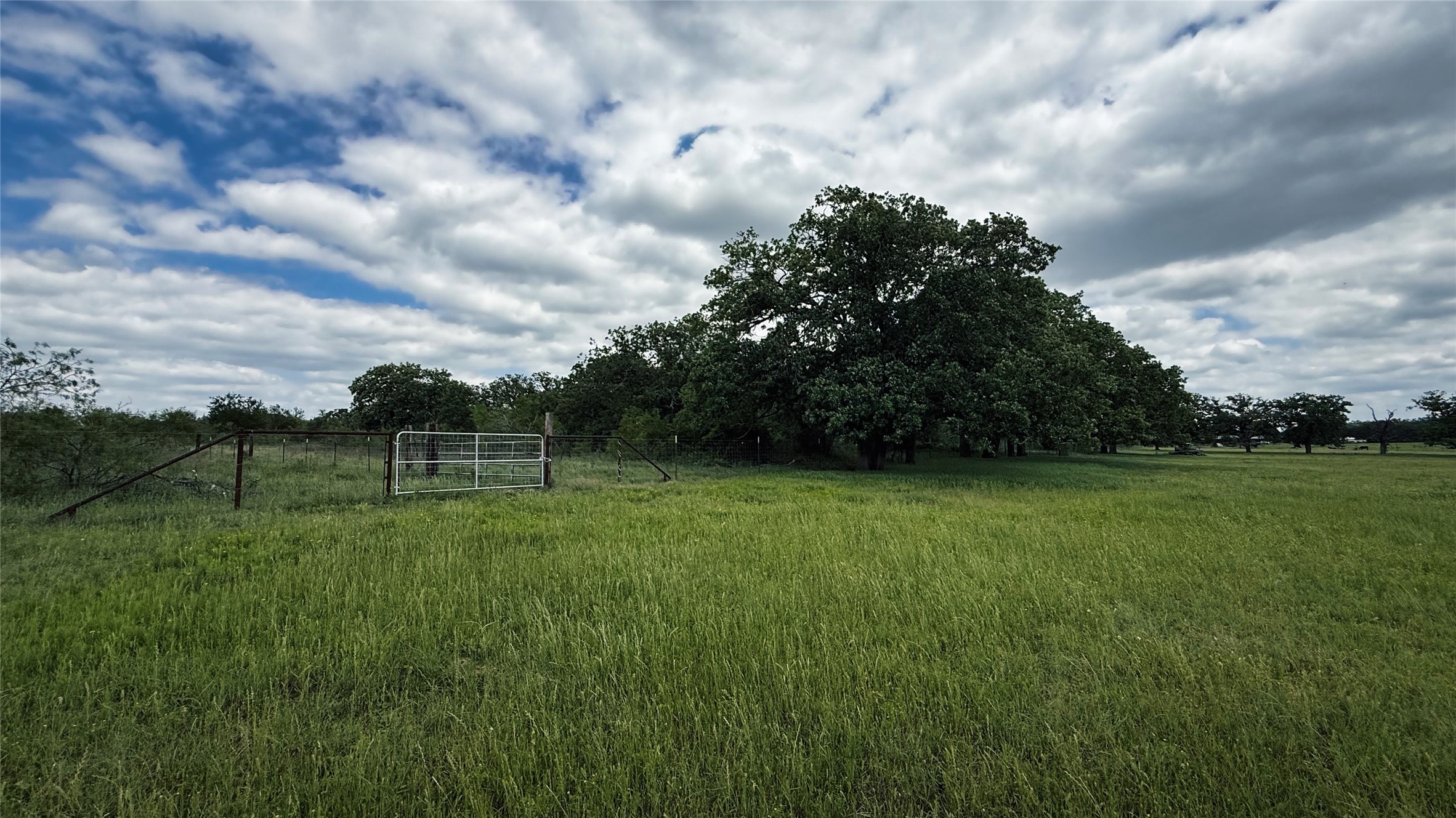 Tbd County Road 317 Property Photo 27