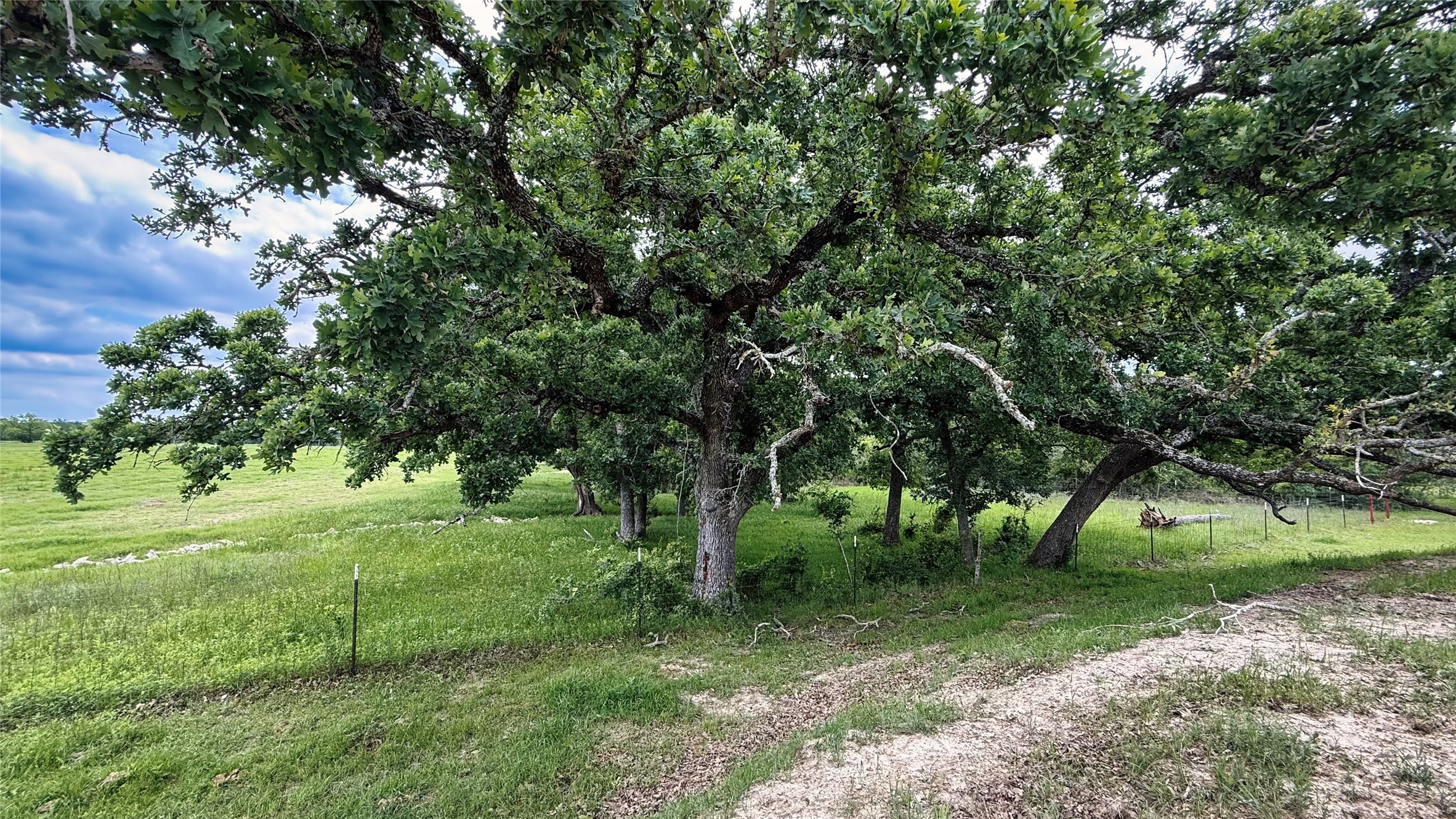 Tbd County Road 317 Property Photo 33