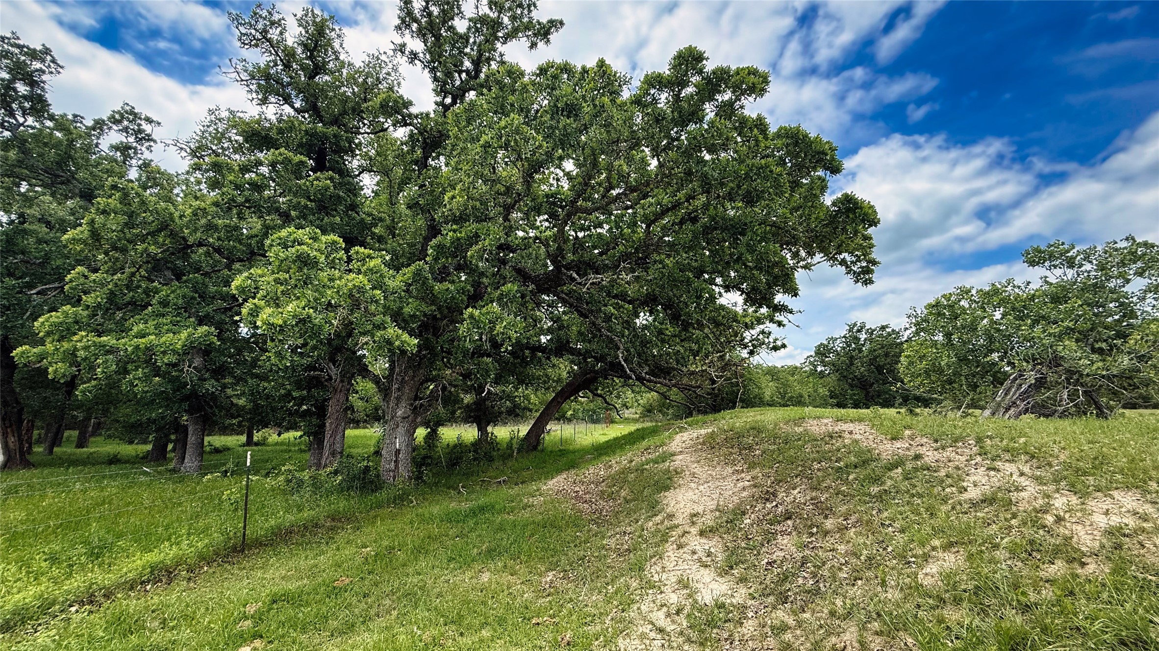 Tbd County Road 317 Property Photo 36