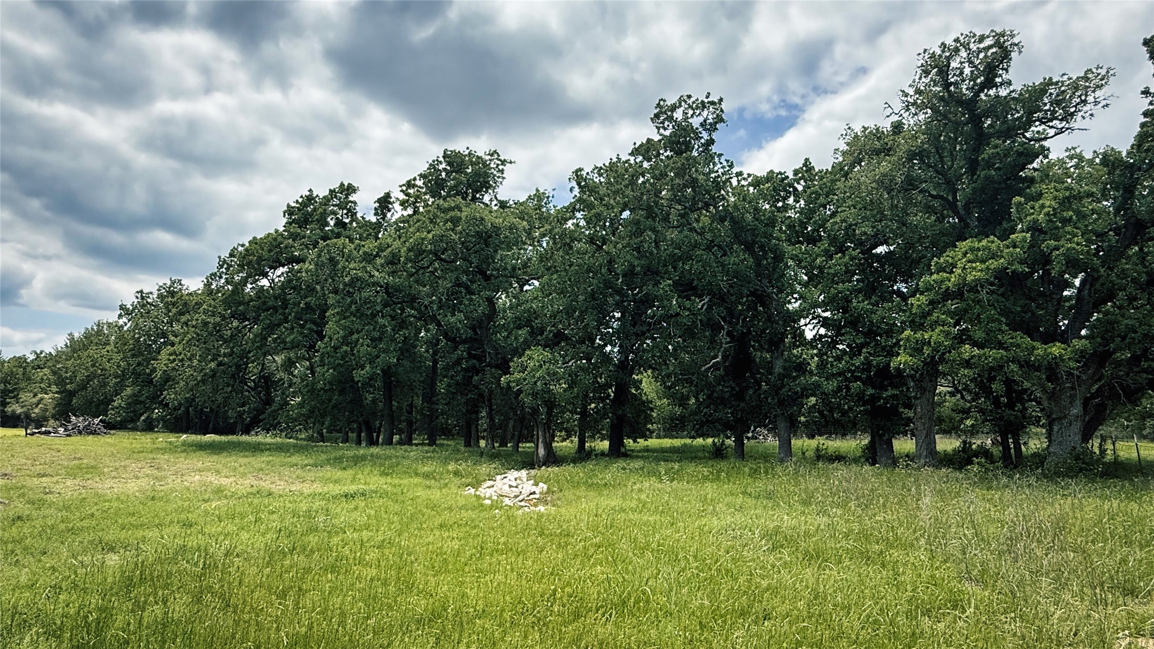 Tbd County Road 317 Property Photo 39