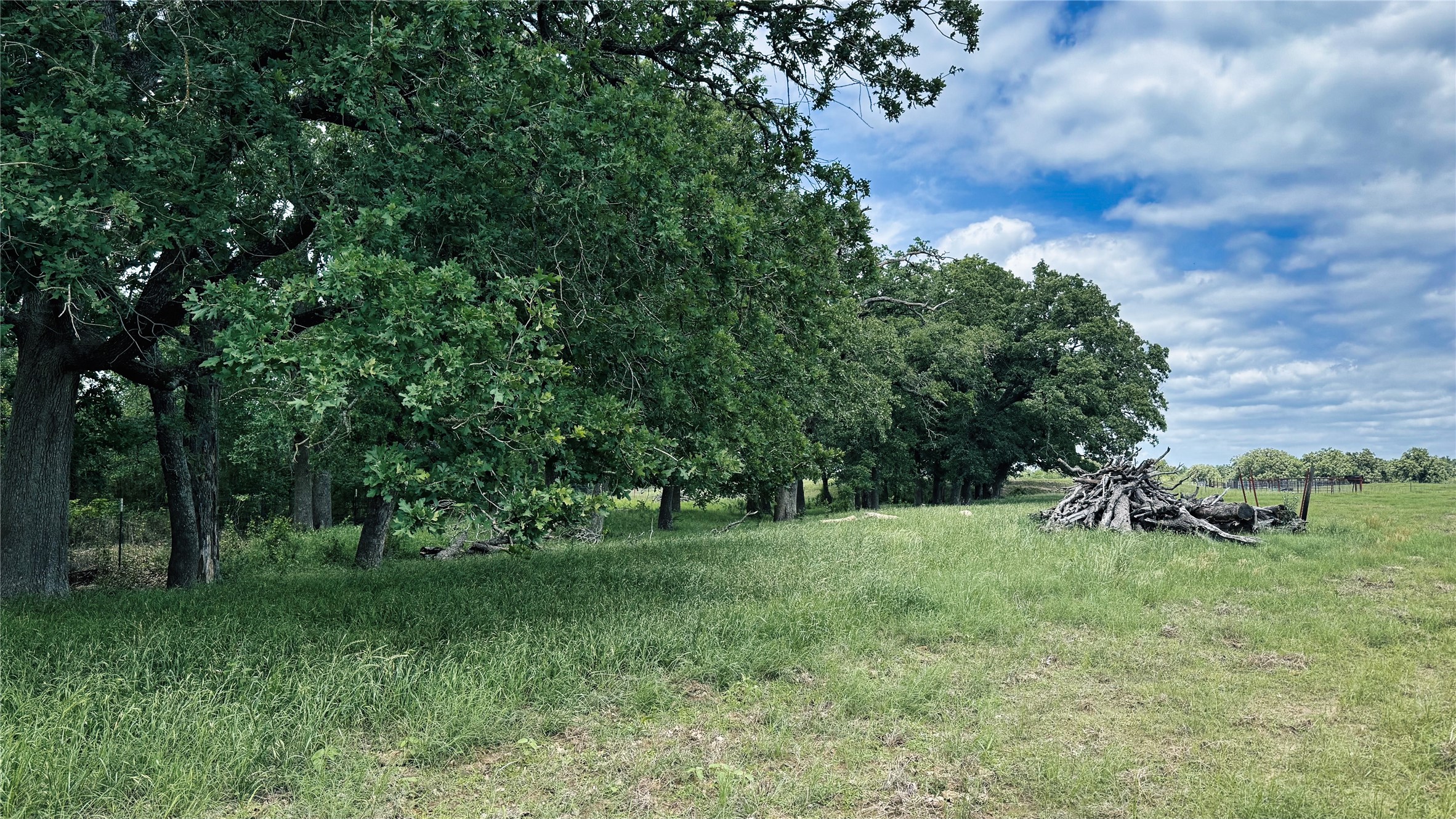 Tbd County Road 317 Property Photo 42