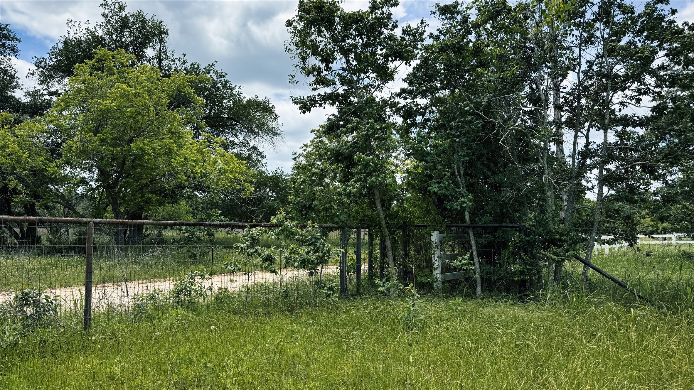 Tbd County Road 317 Property Photo 44