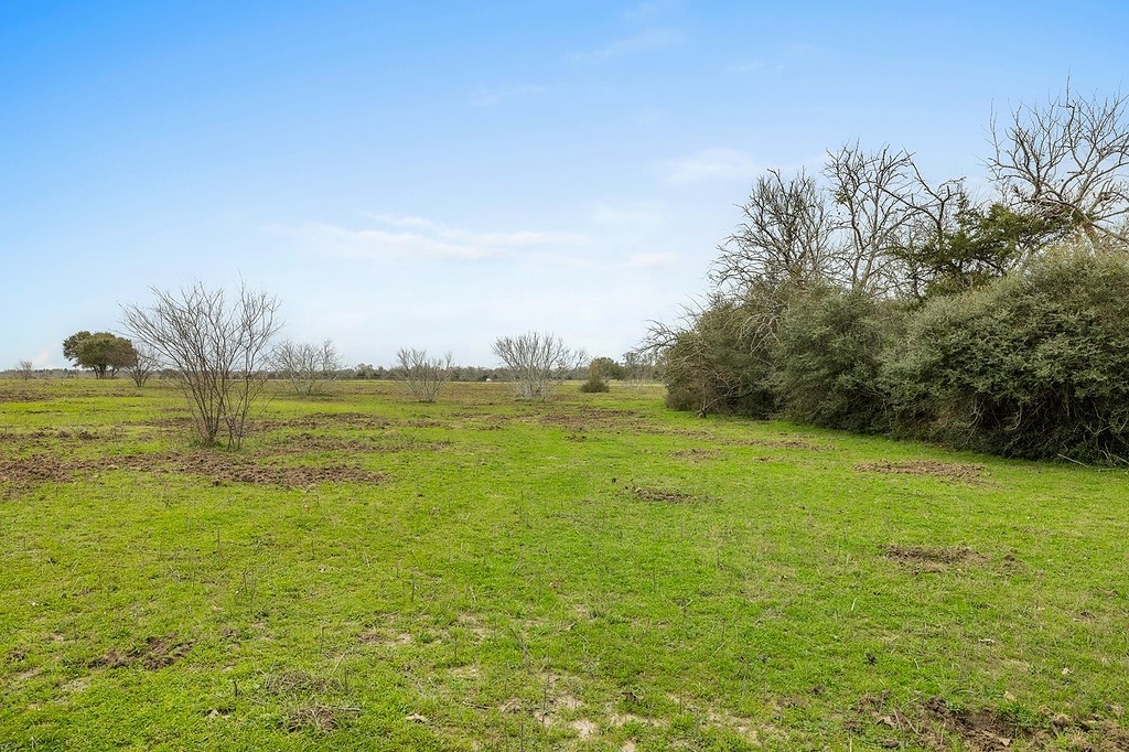Tract 1 Tbd Kleihege Road Property Photo 5