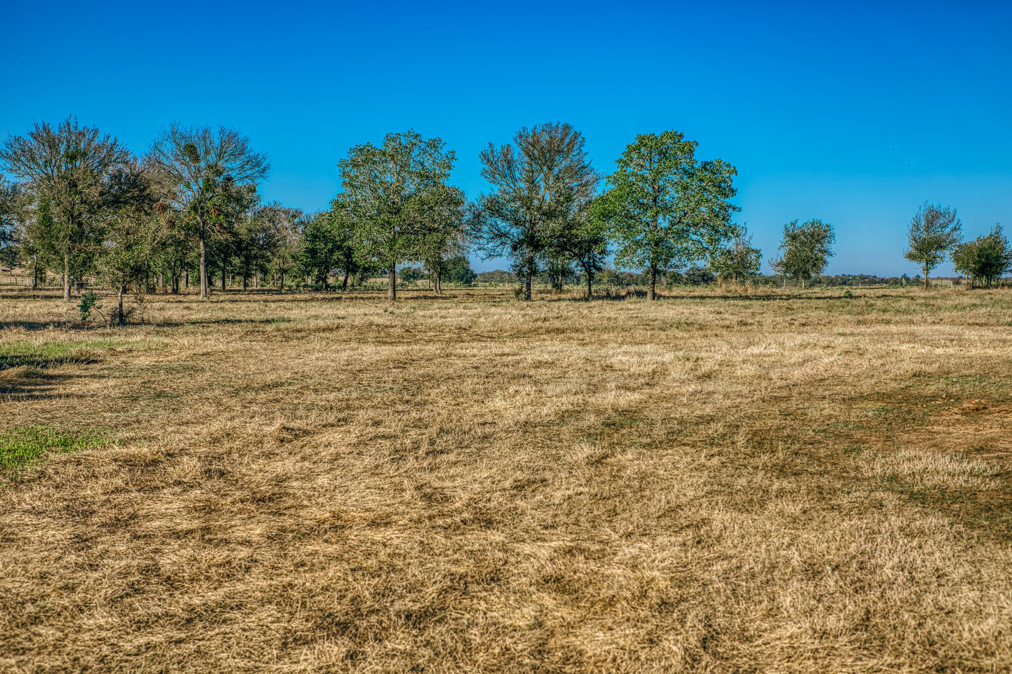 Tbd Walter Hoffman Road Property Photo 11