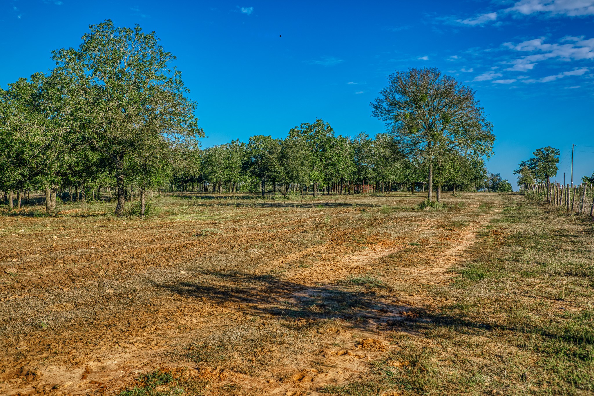 Tbd Walter Hoffman Road Property Photo 12
