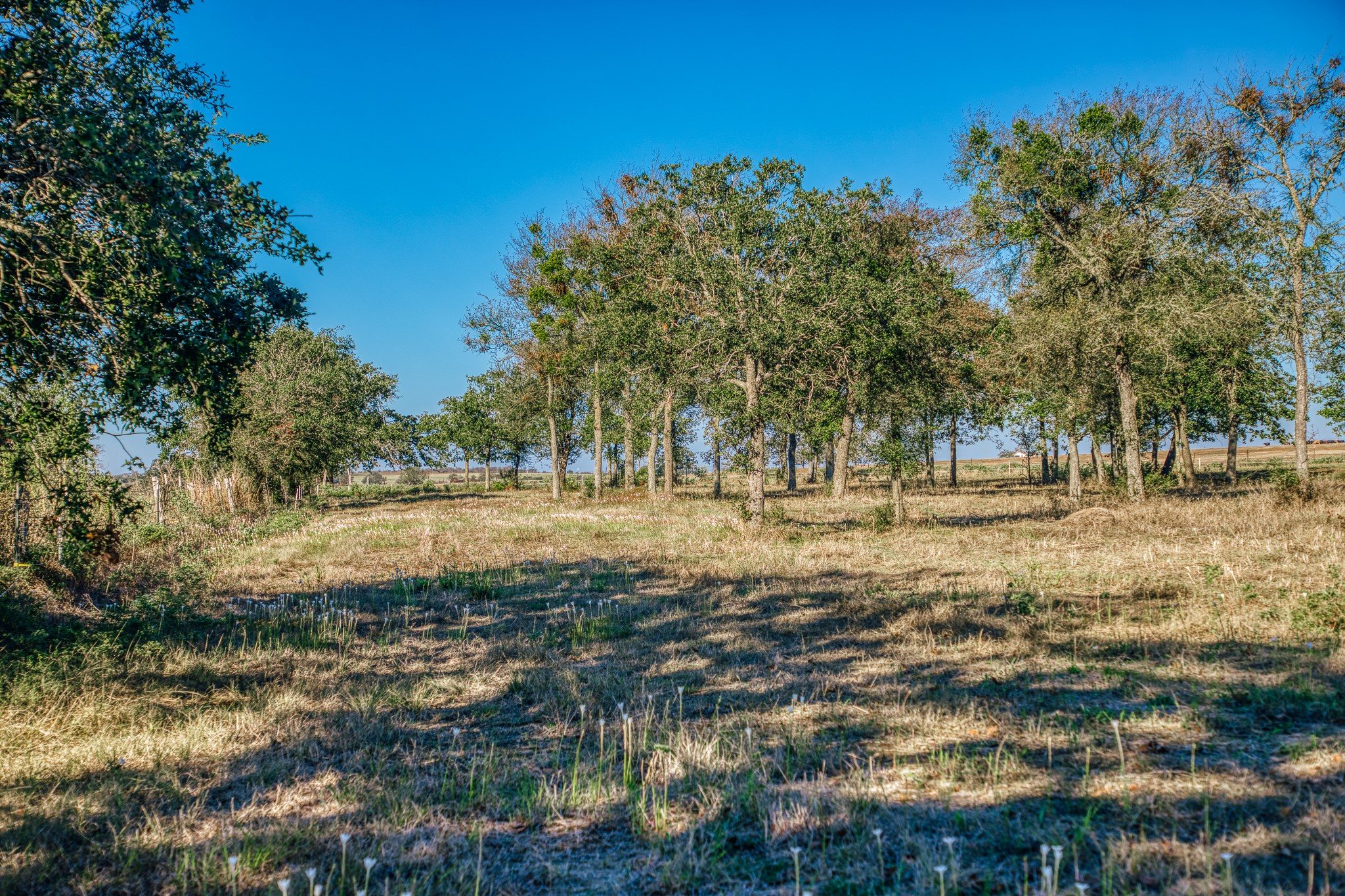 Tbd Walter Hoffman Road Property Photo 14