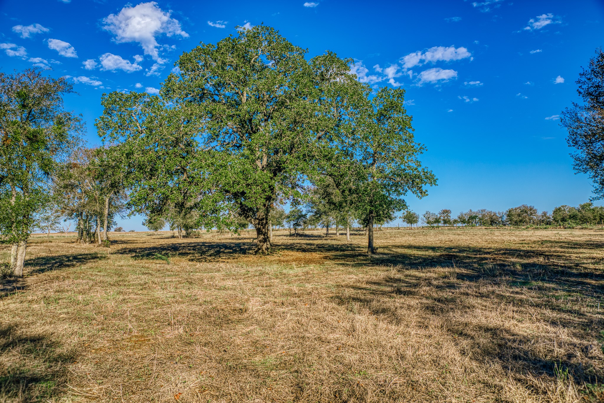 Tbd Walter Hoffman Road Property Photo 15