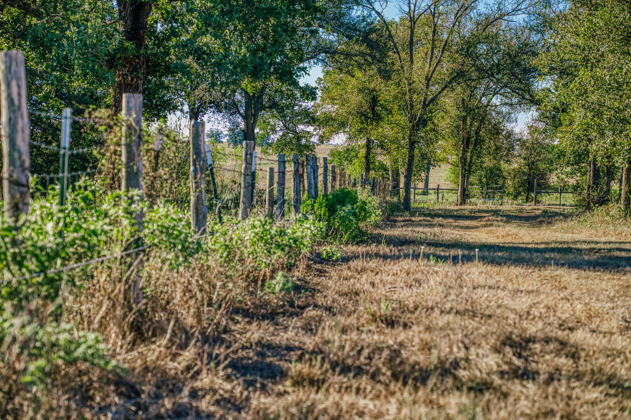 Tbd Walter Hoffman Road Property Photo 17