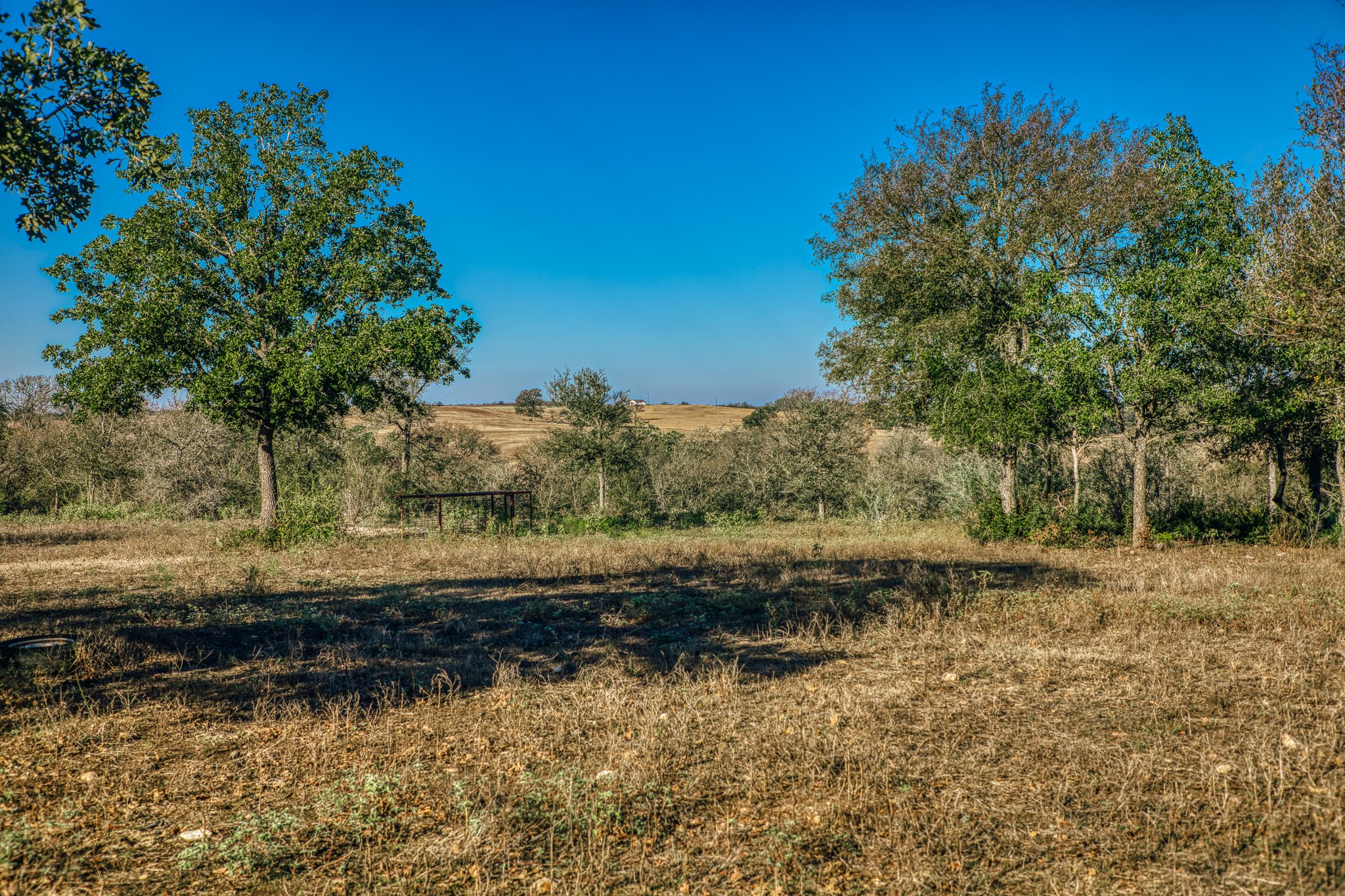 Tbd Walter Hoffman Road Property Photo 23