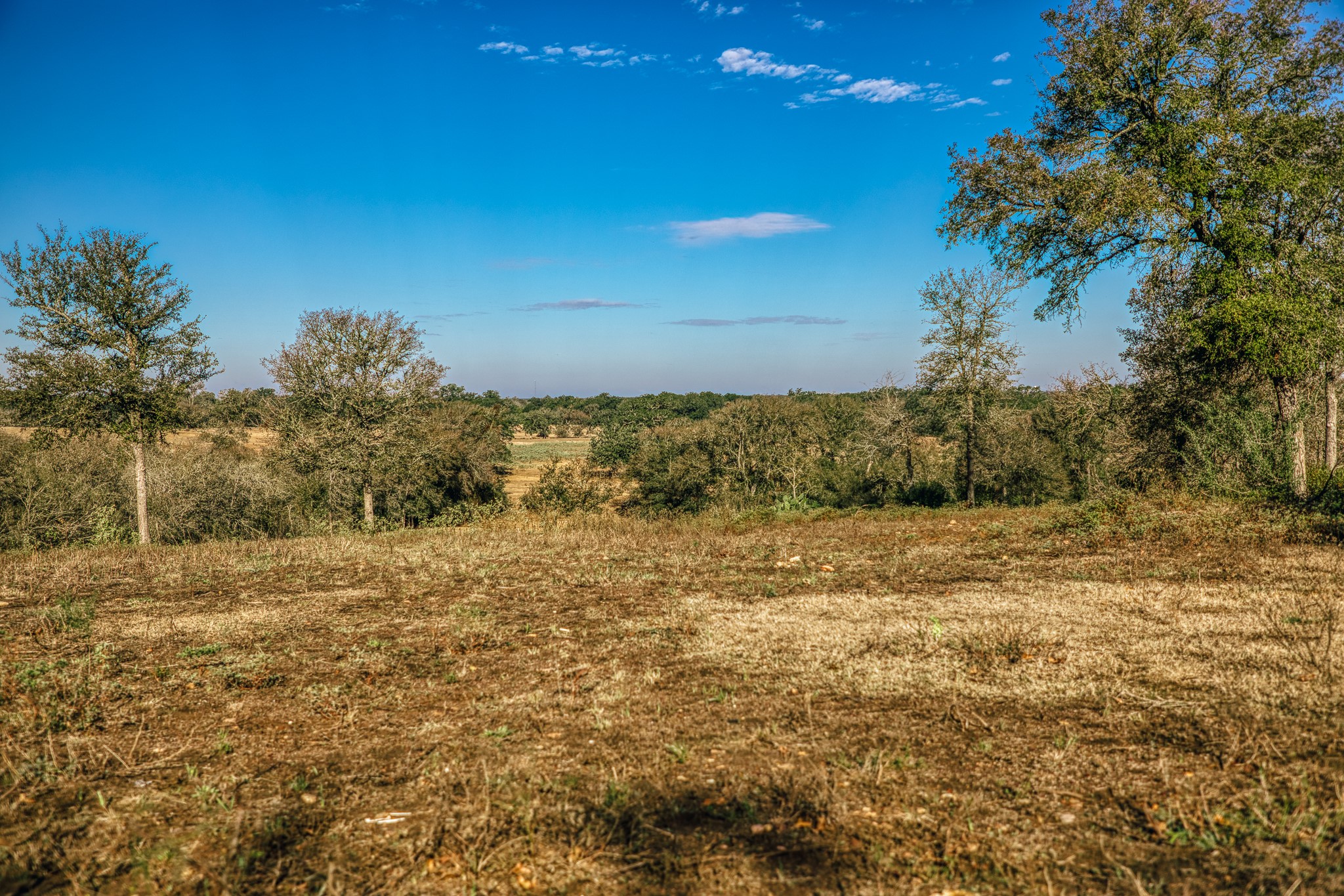 Tbd Walter Hoffman Road Property Photo 24