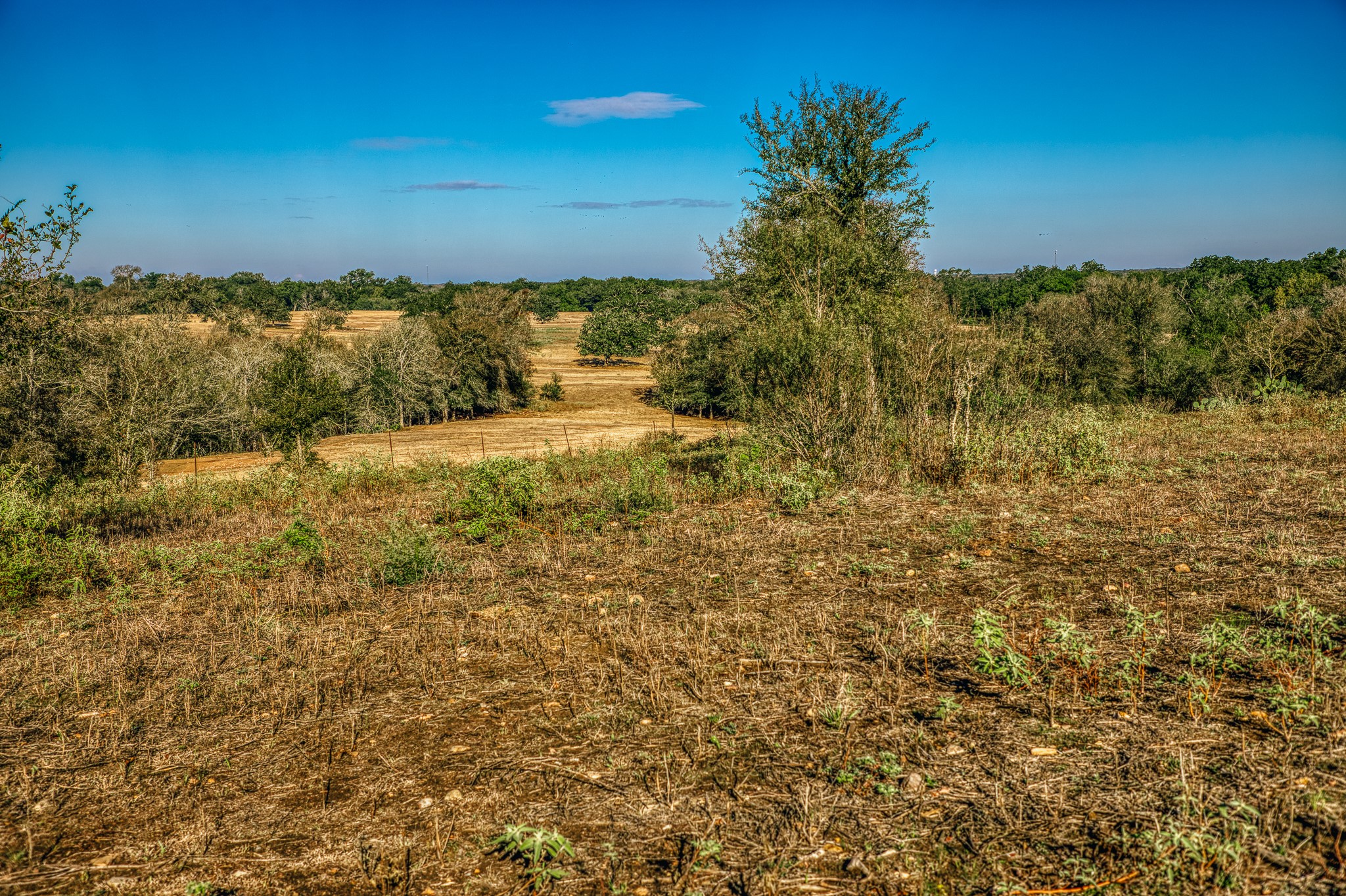 Tbd Walter Hoffman Road Property Photo 25