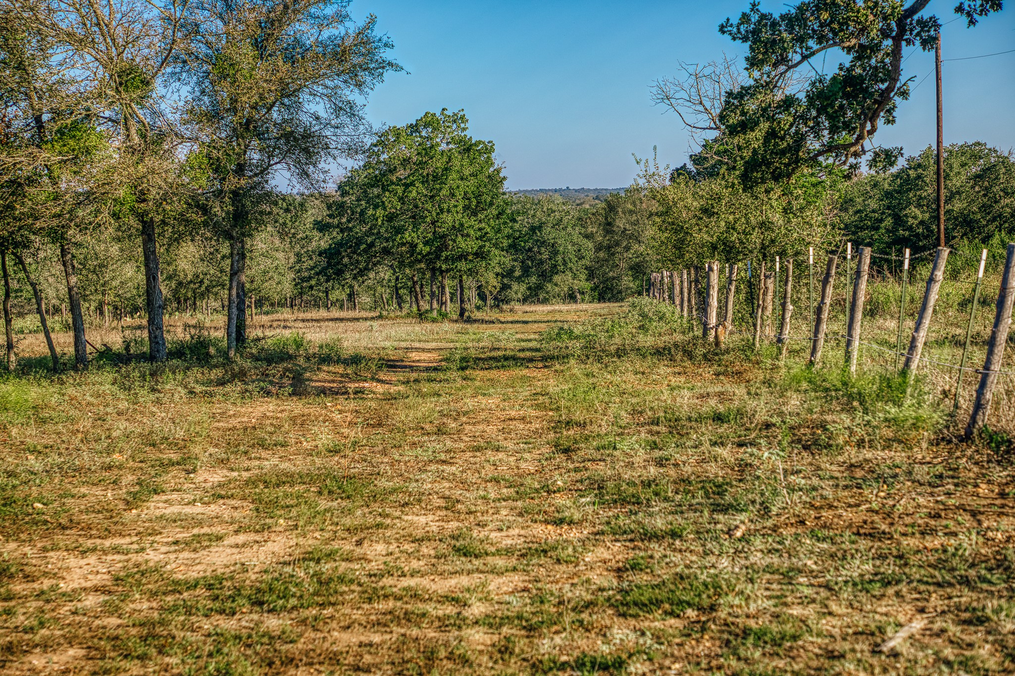 Tbd Walter Hoffman Road Property Photo 27