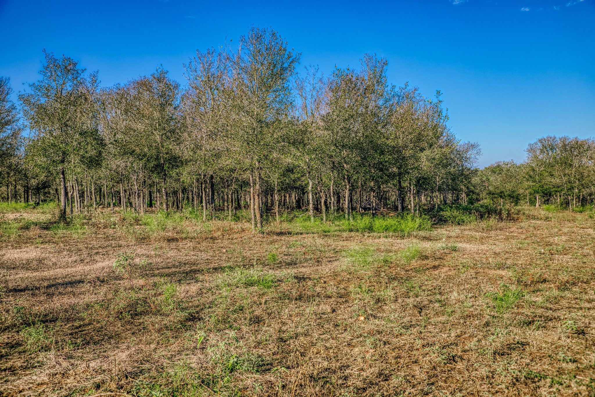 Tbd Walter Hoffman Road Property Photo 28
