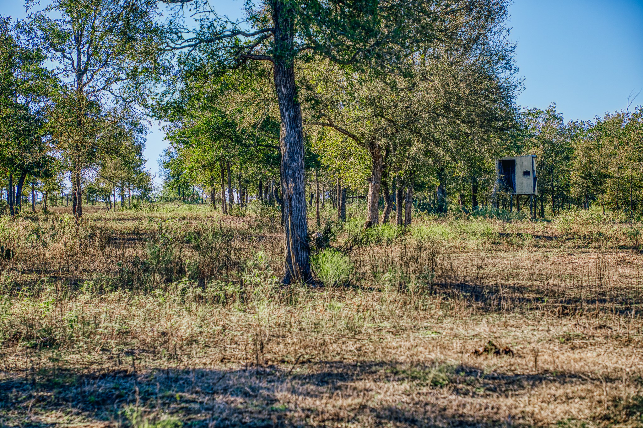 Tbd Walter Hoffman Road Property Photo 29