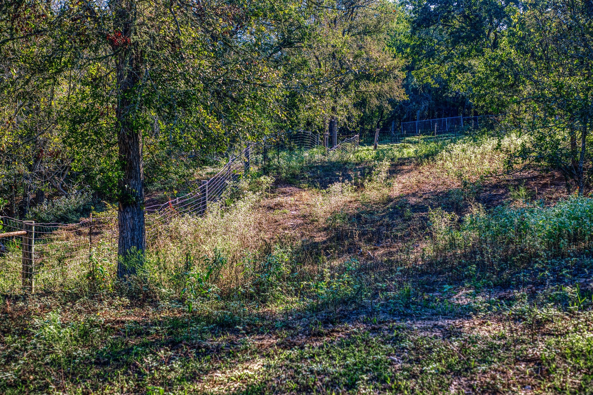 Tbd Walter Hoffman Road Property Photo 30