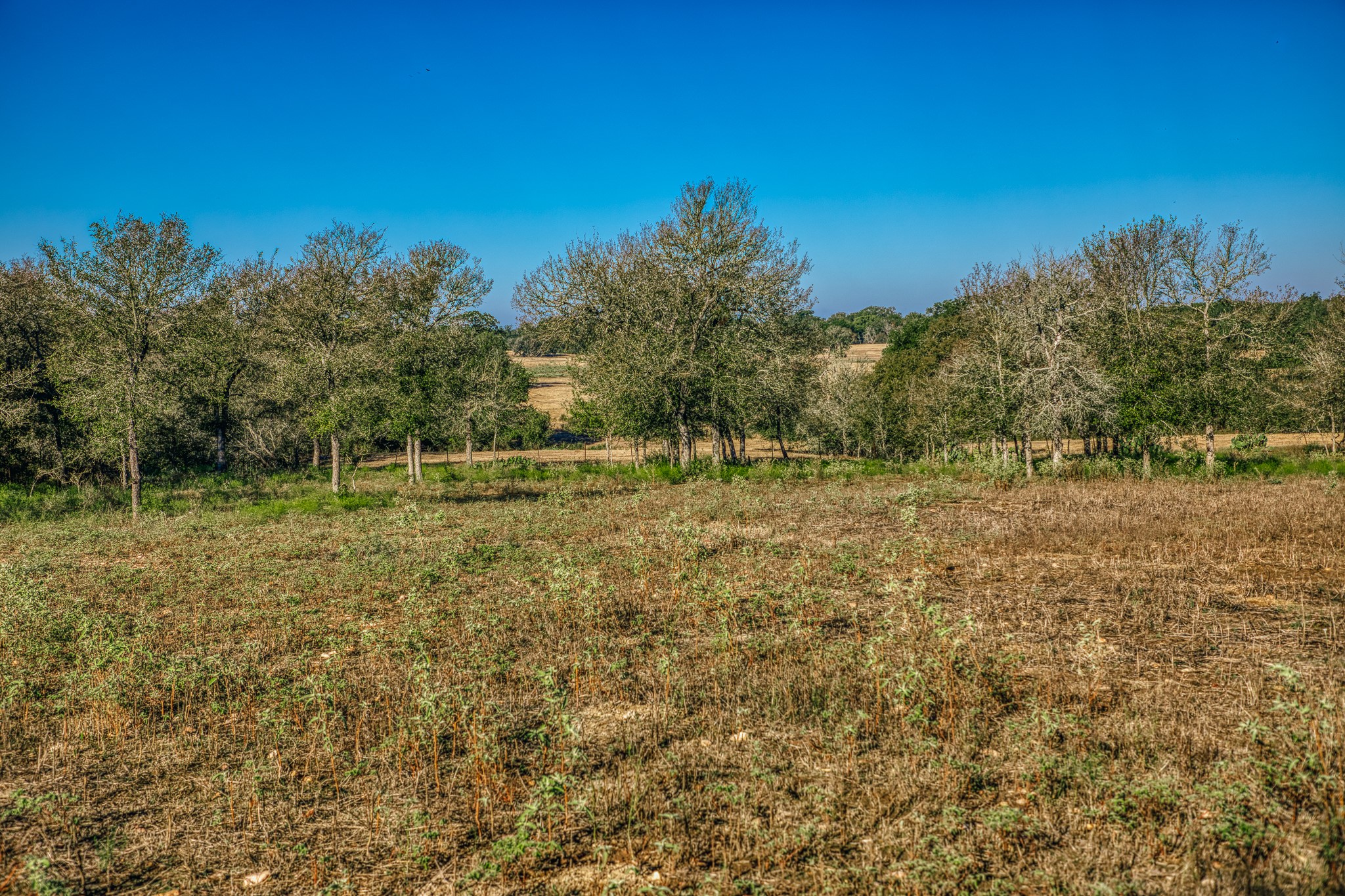 Tbd Walter Hoffman Road Property Photo 31