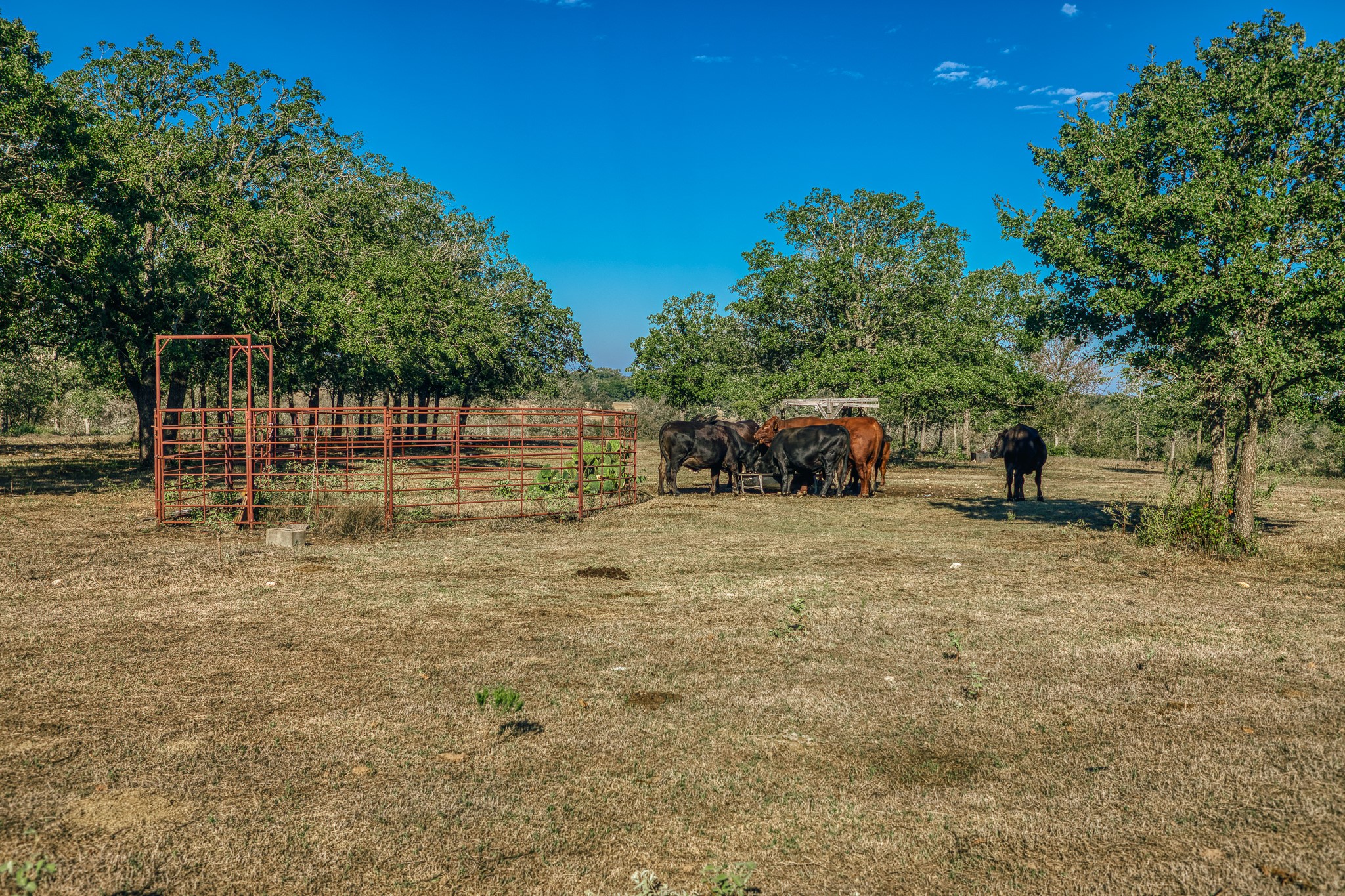 Tbd Walter Hoffman Road Property Photo 32