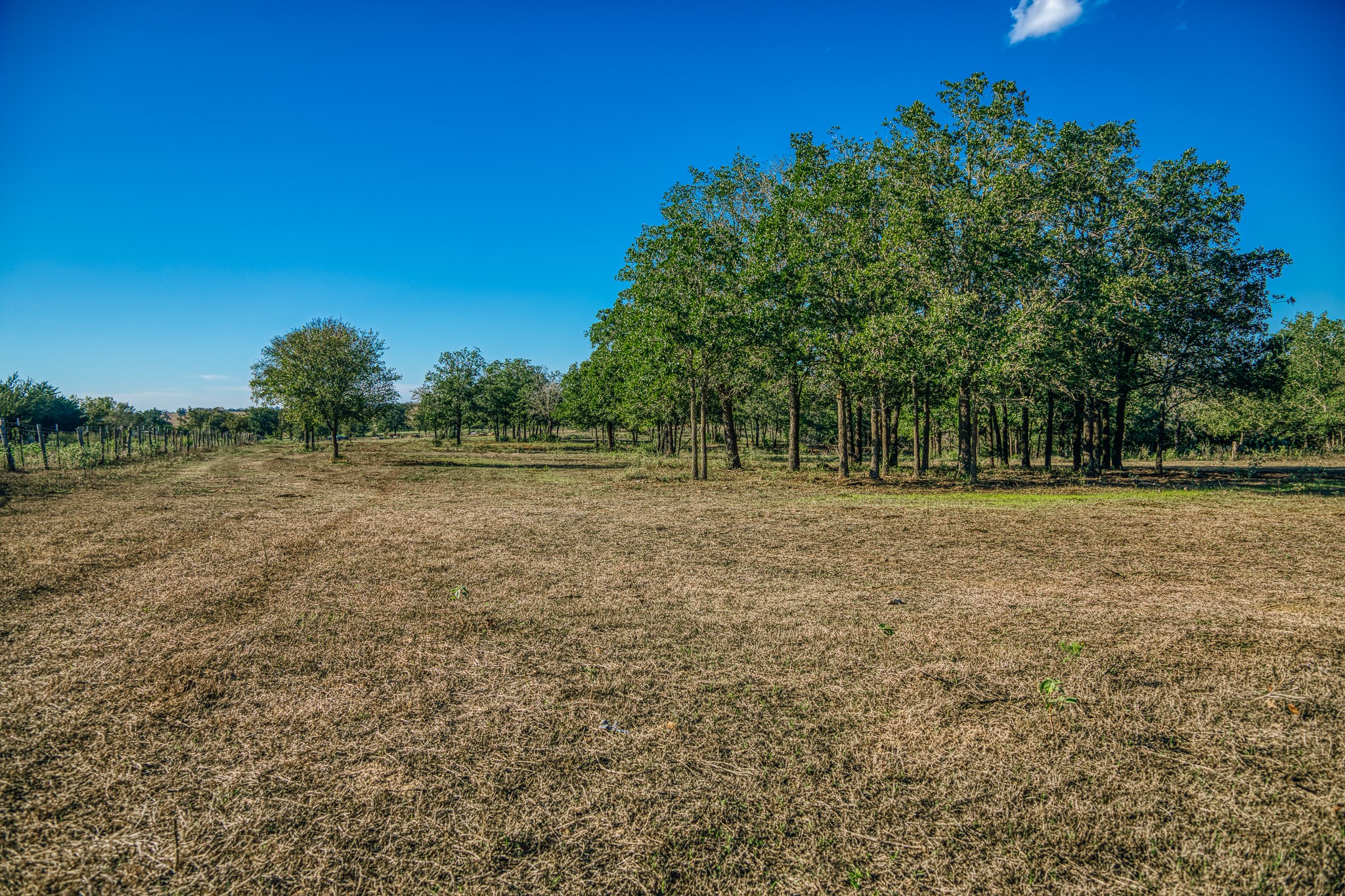 Tbd Walter Hoffman Road Property Photo 33