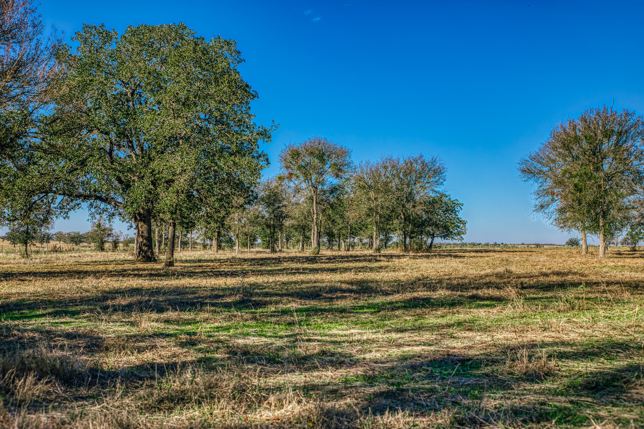 Tbd Walter Hoffman Road Property Photo 34