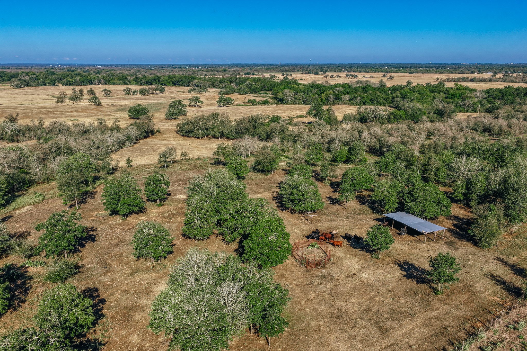 Tbd Walter Hoffman Road Property Photo 35