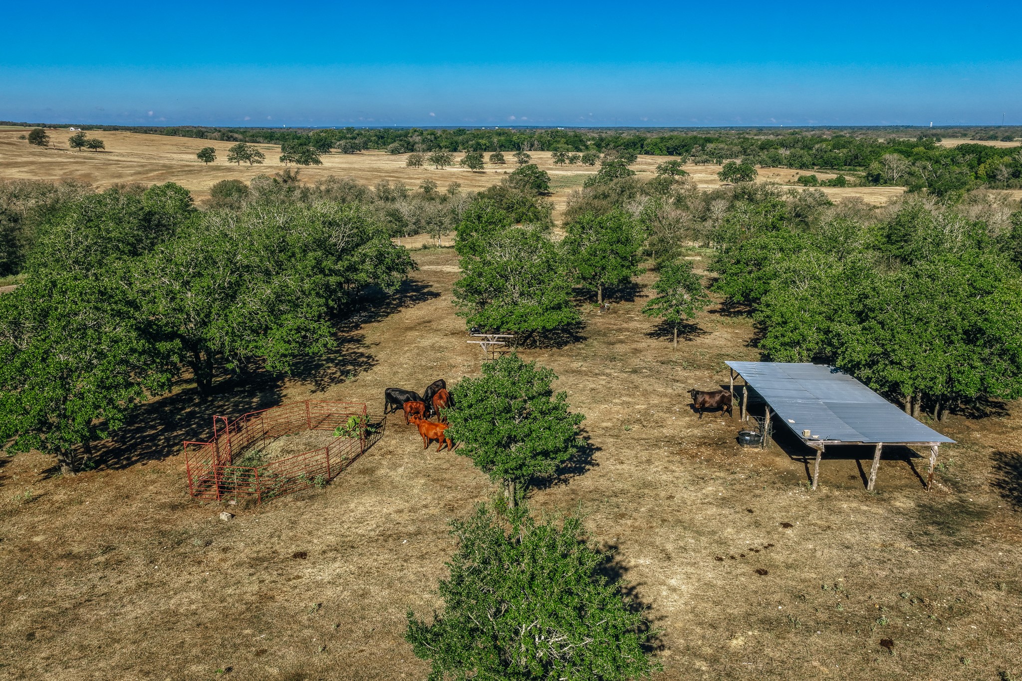 Tbd Walter Hoffman Road Property Photo 36