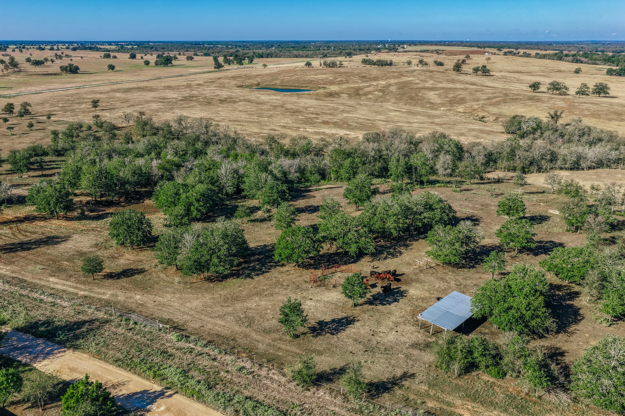 Tbd Walter Hoffman Road Property Photo 37