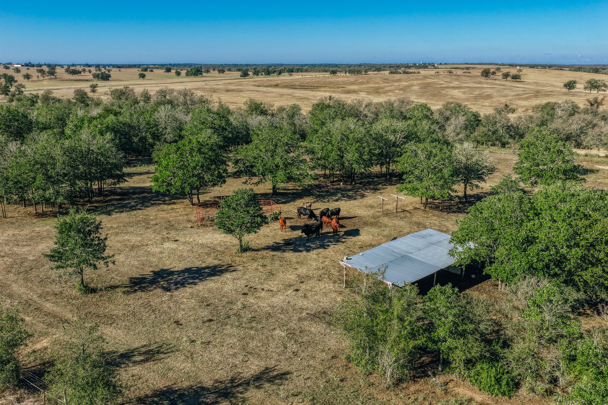 Tbd Walter Hoffman Road Property Photo 38