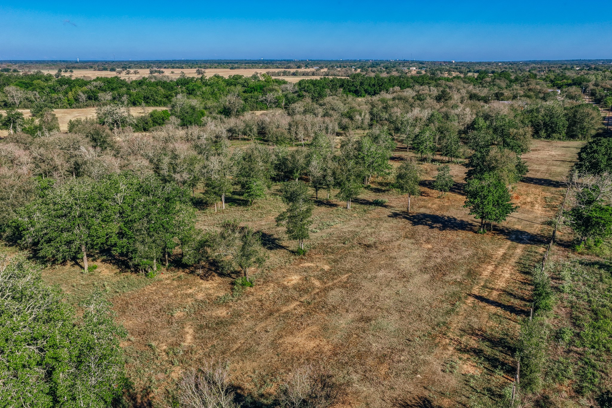 Tbd Walter Hoffman Road Property Photo 39
