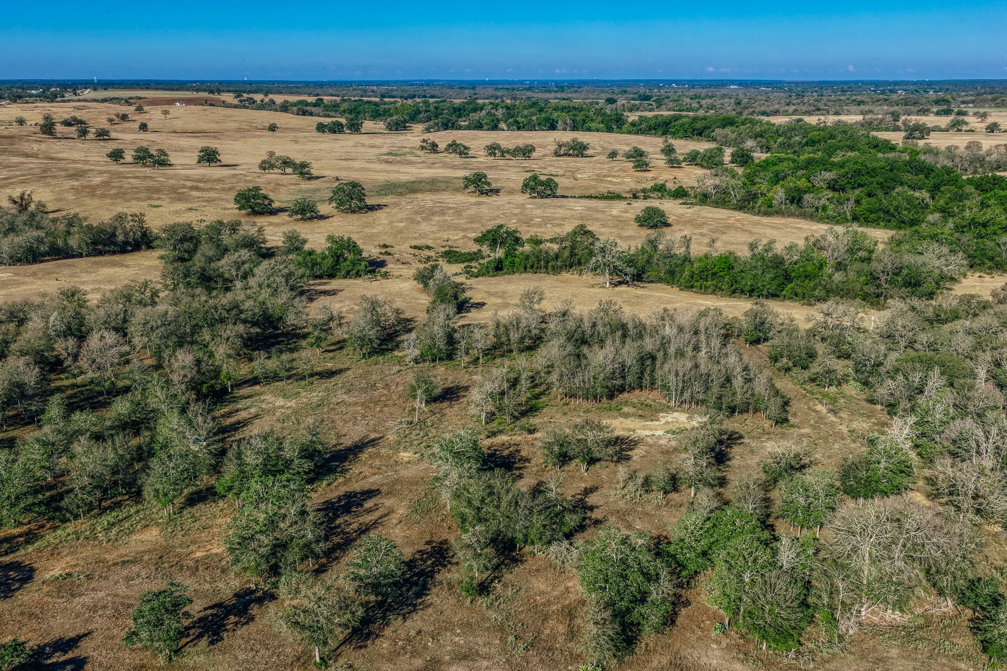 Tbd Walter Hoffman Road Property Photo 40
